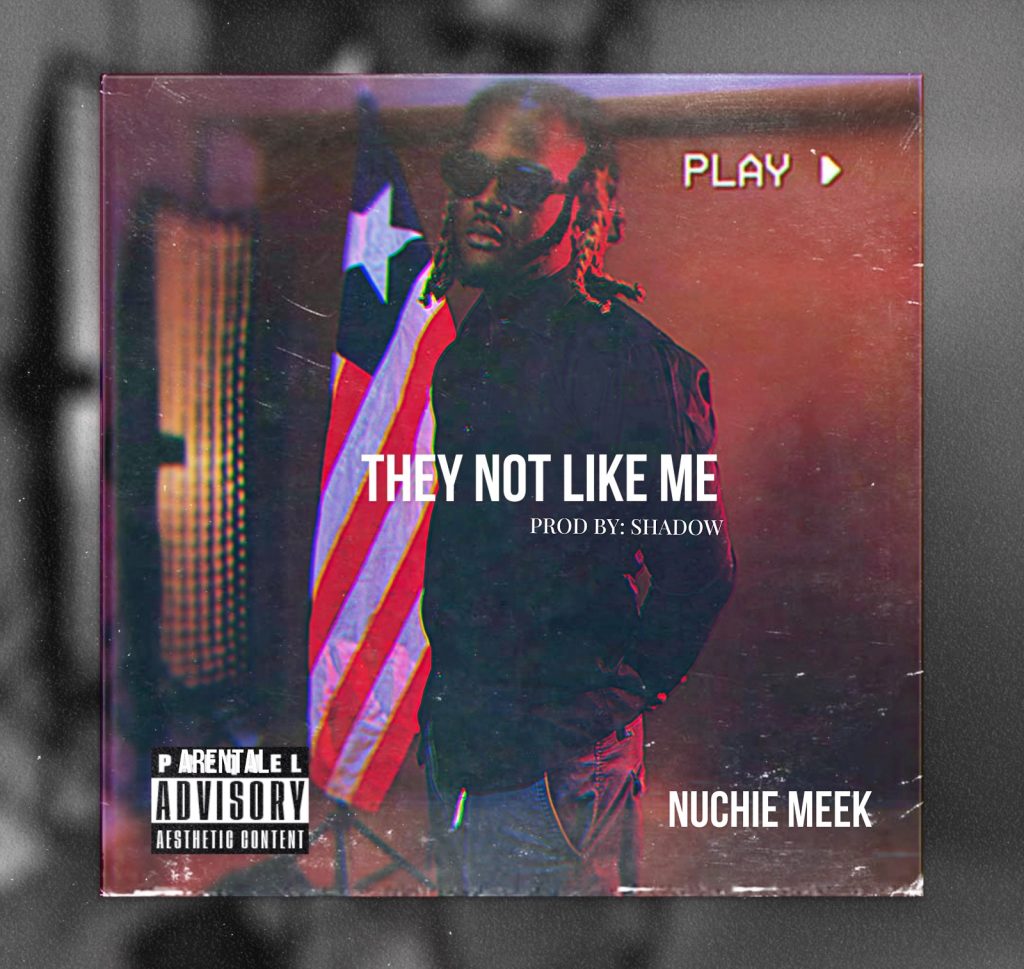 Nuchie Meek - They Not Like Me