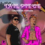 Caltonic SA – Tail Piece Ft. Demola